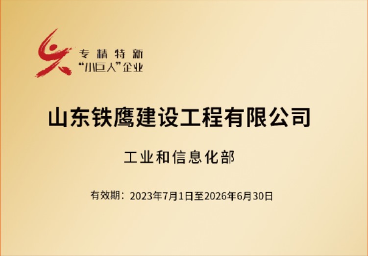 國家級專精特新小巨人企業(yè)