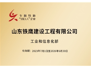 國家級專精特新小巨人企業(yè)