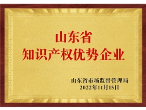 山東省知識產(chǎn)權(quán)優(yōu)勢企業(yè)
