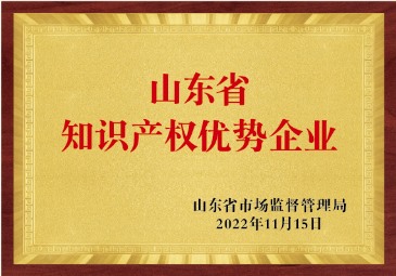 山東省知識(shí)產(chǎn)權(quán)優(yōu)勢(shì)企業(yè)