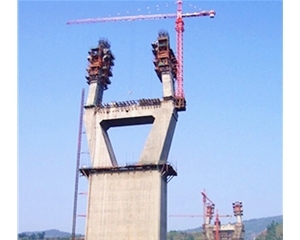 異形模板、貝雷梁、鋼管柱